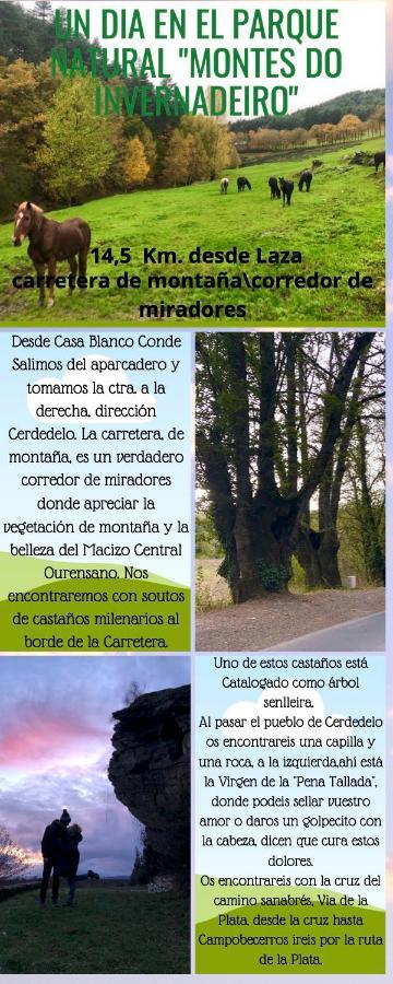 Апартаменти El Camino Laza Екстер'єр фото