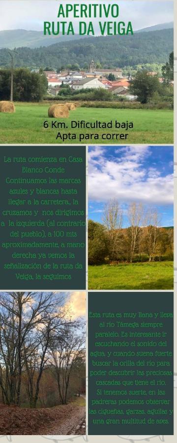 Апартаменти El Camino Laza Екстер'єр фото