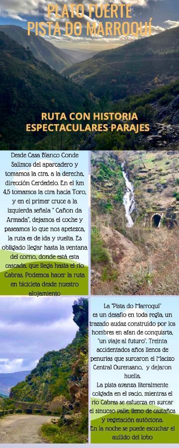 Апартаменти El Camino Laza Екстер'єр фото
